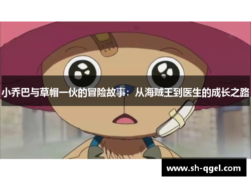 小乔巴与草帽一伙的冒险故事：从海贼王到医生的成长之路